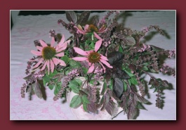 Kliknite za pove�avo slike